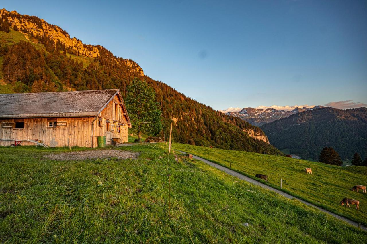 Wies Stein  Dış mekan fotoğraf